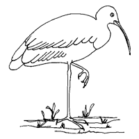 Depot Hill State School logo