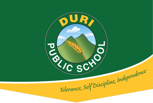 Duri Public School logo