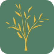 Ashburton Primary School logo