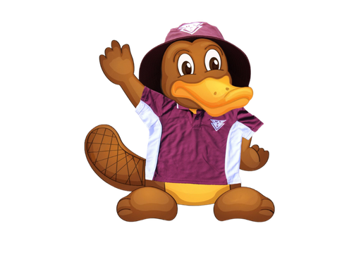 Muswellbrook South Public School logo