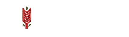 North Albany Senior High School logo