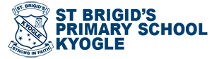 St Brigid's Primary School logo