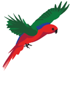 Benowa State School logo