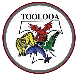 Toolooa State High School logo